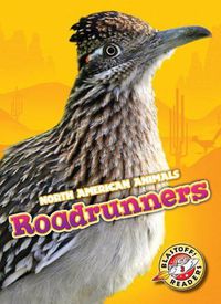 Cover image for Roadrunners