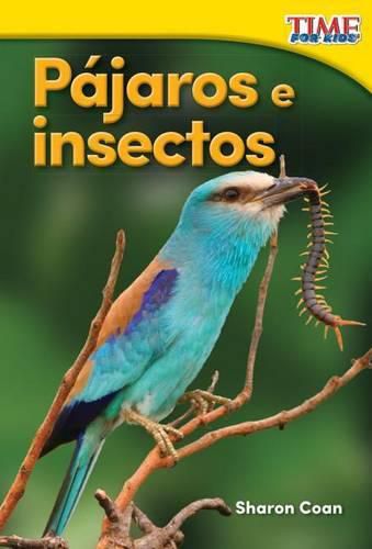 Pajaros e insectos (Birds and Bugs)