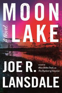Cover image for Moon Lake