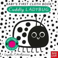 Cover image for Baby's First Cloth Book: Cuddly Ladybug