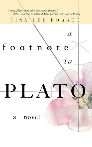 Cover image for A Footnote to Plato