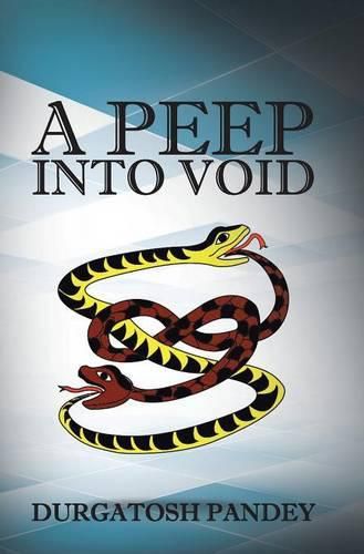 Cover image for A Peep Into Void