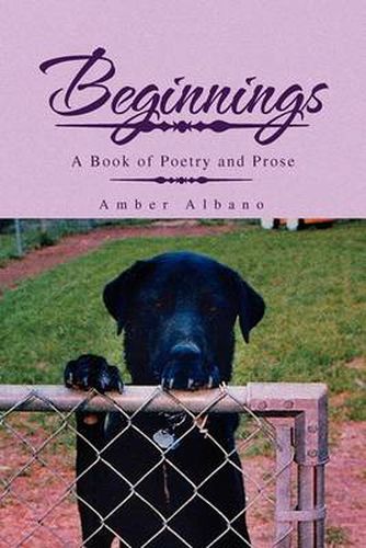 Cover image for Beginnings