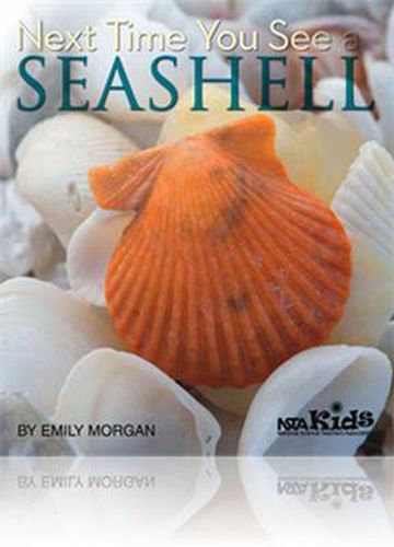 Cover image for Next Time You See a Seashell