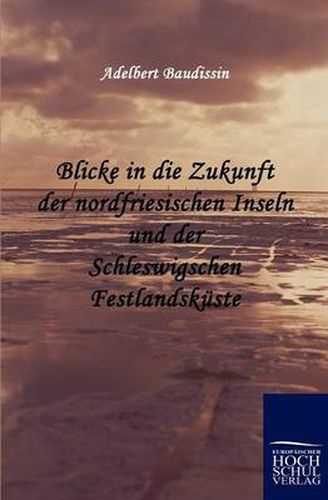 Cover image for Blicke in die Zukunft der nordfriesischen Inseln und der Schleswigschen Festlandskuste