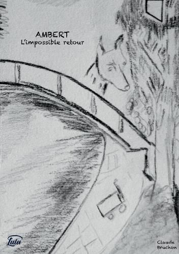 Cover image for Ambert