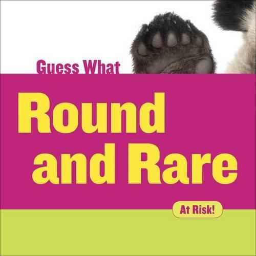 Cover image for Round and Rare: Giant Panda