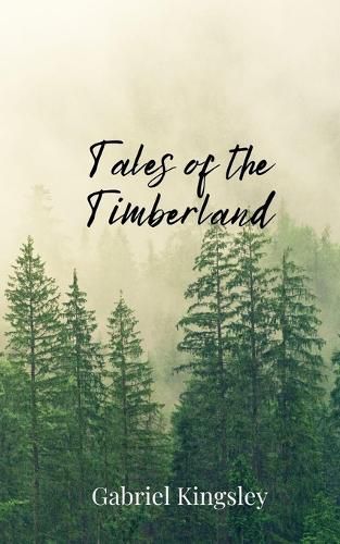 Cover image for Tales of the Timberland