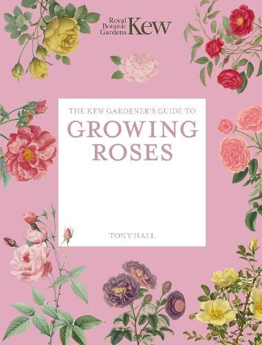 Cover image for The Kew Gardener's Guide to Growing Roses: Volume 8