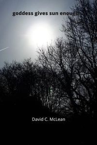 Cover image for goddess carries sun enough