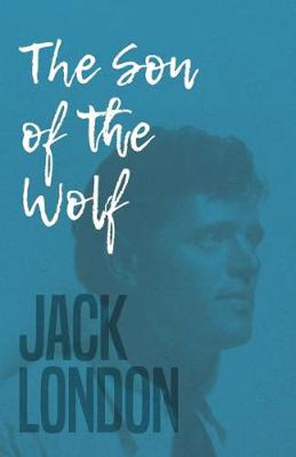 Cover image for The Son of the Wolf