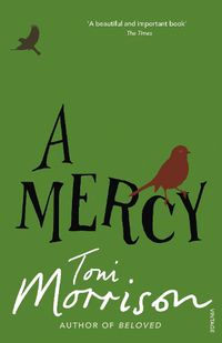 Cover image for A Mercy