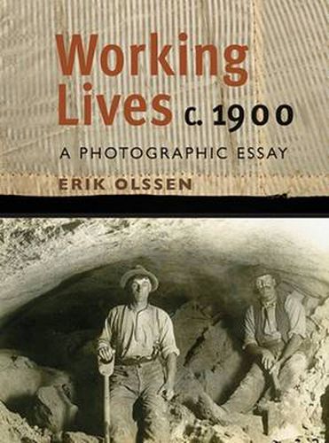 Cover image for Working Lives c. 1900: A Photographic Essay