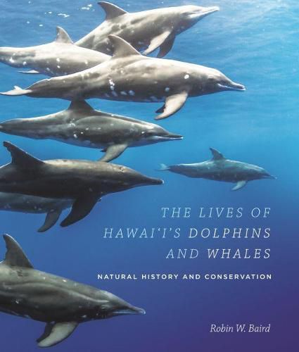 Cover image for The Lives of Hawai'i's Dolphins and Whales: Natural History and Conservation