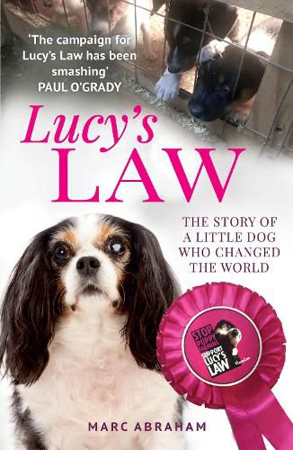 Cover image for Lucy's Law: The story of a little dog who changed the world