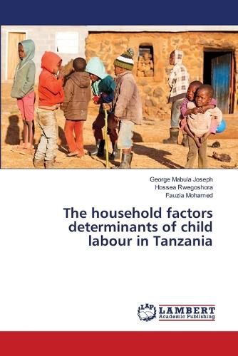 Cover image for The household factors determinants of child labour in Tanzania