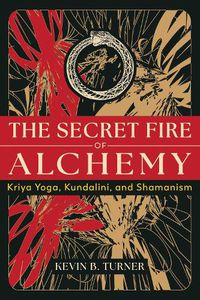 Cover image for The Secret Fire of Alchemy