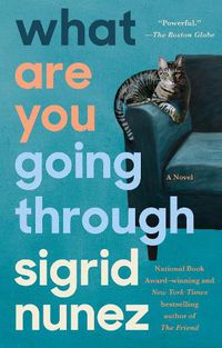 Cover image for What Are You Going Through: A Novel