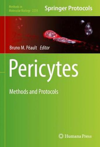 Cover image for Pericytes: Methods and Protocols