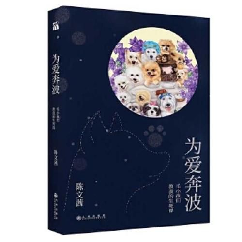 Cover image for Life and Death Lessons Taughts