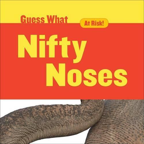 Cover image for Nifty Noses: Elephant