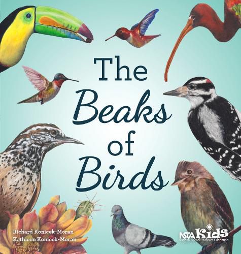 Cover image for The Beaks of Birds