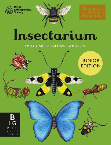 Cover image for Insectarium (Junior Edition)