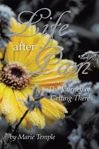 Cover image for Life After Pain