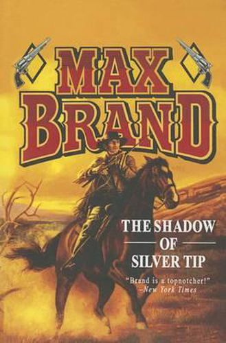 Cover image for The Shadow of Silver Tip