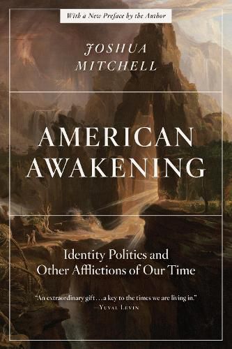 Cover image for American Awakening: Identity Politics and Other Afflictions of Our Time