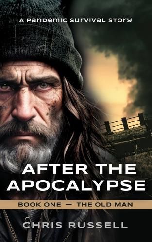 Cover image for After the Apocalypse