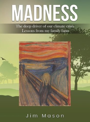 Cover image for Madness