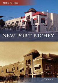 Cover image for New Port Richey