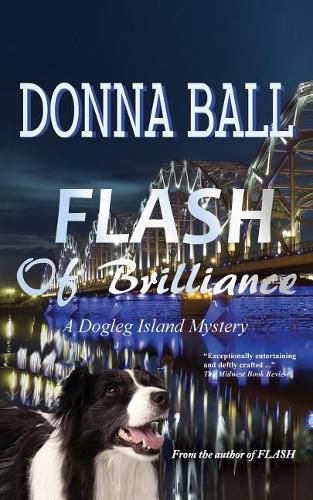 Cover image for Flash of Brilliance