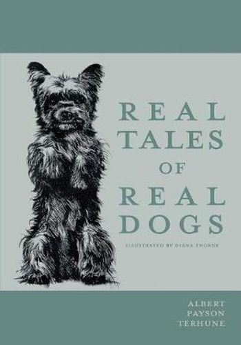 Cover image for Real Tales of Real Dogs - Illustrated by Diana Thorne