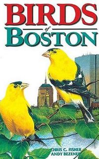 Cover image for Birds of Boston