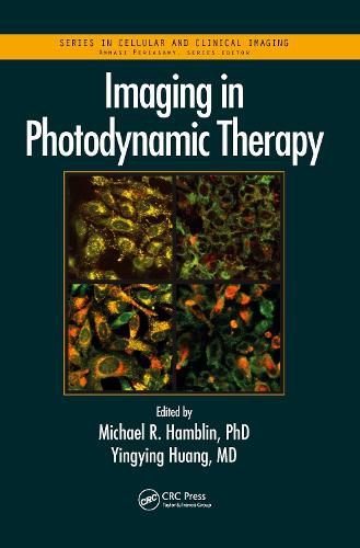 Cover image for Imaging in Photodynamic Therapy