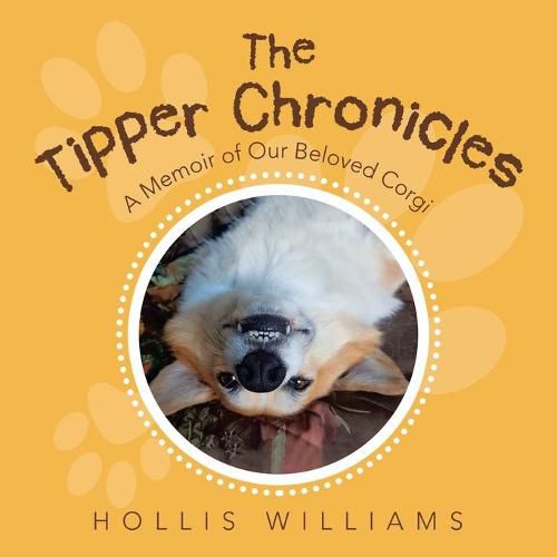 Cover image for The Tipper Chronicles