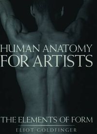 Cover image for Human Anatomy for Artists: The Elements of Form