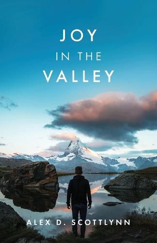 Cover image for Joy in the Valley