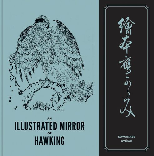 Cover image for An Illustrated Mirror of Hawking