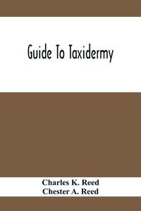 Cover image for Guide To Taxidermy