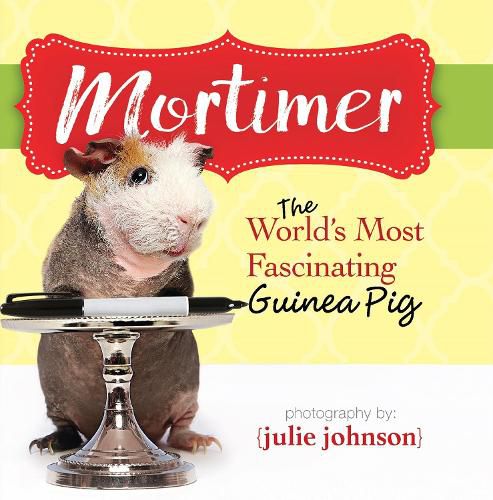 Cover image for Mortimer, World's Most Fascinating Guinea Pig: Answers to the Mysteries of Life