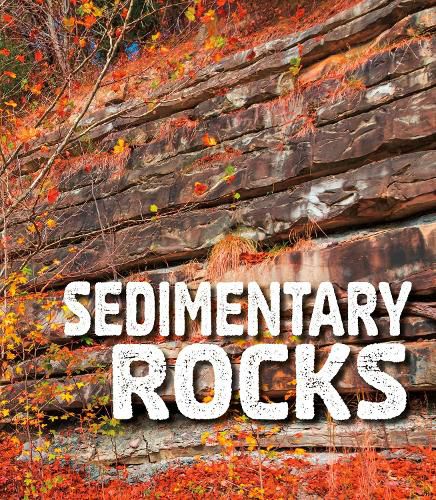 Cover image for Sedimentary Rocks