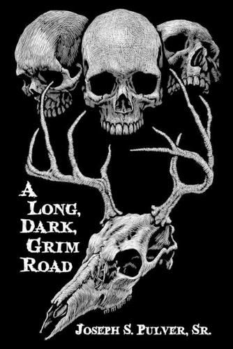 Cover image for A Long, Dark, Grim Road