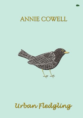 Cover image for Urban Fledgling