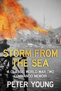 Cover image for Storm From the Sea