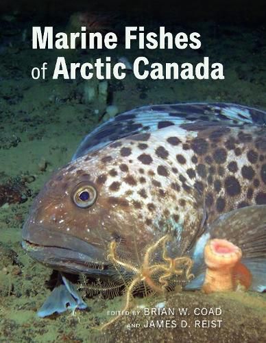 Cover image for Marine Fishes of Arctic Canada