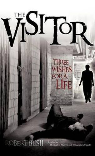 Cover image for The Visitor