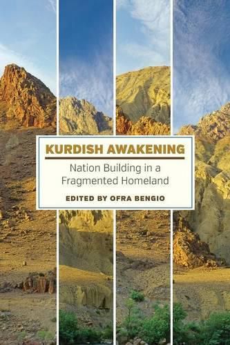 Cover image for Kurdish Awakening: Nation Building in a Fragmented Homeland